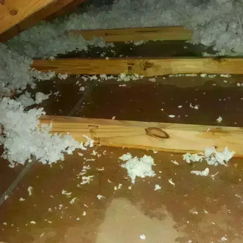 Attic Water Damage in West Point, NE